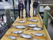 Pirate's Cove Marina, Tuna for Dinner