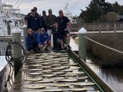 Pirate's Cove Marina, Fish Taco Friday