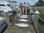 Pirate's Cove Marina, Meatfish Slam!