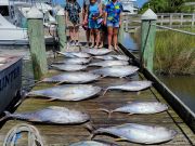 Pirate's Cove Marina, Wednesday Fishin'