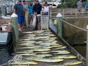 Pirate's Cove Marina, Mahi Monday!