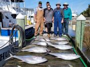Pirate's Cove Marina, Wednesday’s Catch