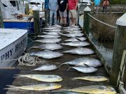 Pirate's Cove Marina, Full Freezers