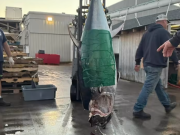 Oregon Inlet Fishing Center, Great Bluefin Day