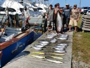 OBX Bait & Tackle Corolla Outer Banks, Corolla Fish Report