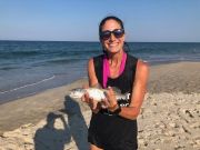 OBX Bait & Tackle Corolla Outer Banks, Corolla Fish Report