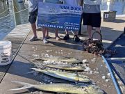 Tuna Duck Sportfishing, Billfish Releases