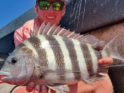 TW’s Bait & Tackle, The fishing continues to carry on!