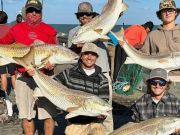 TW’s Bait & Tackle, Drum Bites... Everywhere!