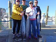 Tuna Duck Sportfishing, Wahoo and Tuna