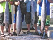 Tuna Duck Sportfishing, Summer Wahoo