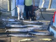 Tuna Duck Sportfishing, Limit of Wahoo