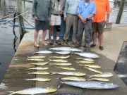 Tuna Duck Sportfishing, Nice Variety Today