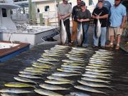 Pirate's Cove Marina, Wednesday’s Catch