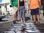 Pirate's Cove Marina, Here's to Great Weather!