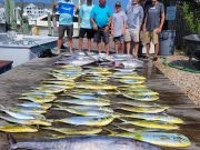 Pirate's Cove Marina, Tuna Tuesday!