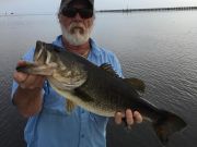 TW’s Bait & Tackle, Daily Fishing Report