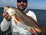 TW’s Bait & Tackle, Daily Fishing Report