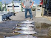 Pirate's Cove Marina, Wahoo Wednesday!