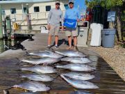 Pirate's Cove Marina, Wednesday’s Catch