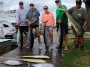 True Grit Sportfishing, Battling the Sharks