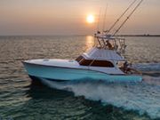 Hatteras Marlin Club Tournament, Hatteras Marlin Club Blue Marlin Release Tournament
