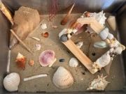 North Carolina Aquarium on Roanoke Island, Coastal Crafts: Coastal Picture Frames