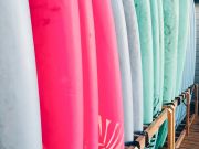 Kitty Hawk Kites, The Board Meeting