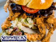 Shipwrecks Taphouse & Grill, Soft-Shell Crab Week