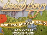 VusicOBX, The Beach Boys Endless Summer Gold
