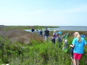 North Carolina Aquarium on Roanoke Island, Wetlands Walk