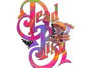 Tap Shack, Dead Rise