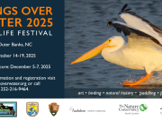 Wings Over Water Festival, Wings Over Water Festival