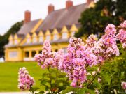 Whalehead, Whalehead Centennial Anniversary Events