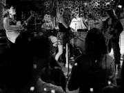 Fish Heads Bar & Grill, Sikovit and Cor De Lux