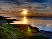 Cafe Pamlico, Brody Wingate