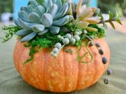 Elizabethan Gardens, Pumpkin Centerpiece Workshop