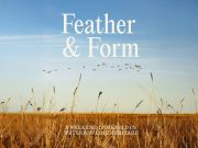 Sanderling Resort, Feather & Form: A Waterfowl Heritage Weekend