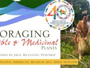 Frisco Native American Museum & Natural History Center, Foraging Edible & Medicinal Plants