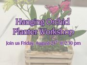 Elizabethan Gardens, Hanging Wooden Orchid Planter Workshop