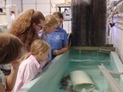 North Carolina Aquarium on Roanoke Island, Behind the Scenes: Health Center