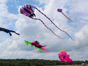 Kitty Hawk Kites, 47th Annual Wright Kite Festival