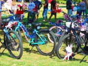 The Northern Outer Banks, Independence Day Celebration