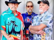 Shaka's Beach Bar & Grill, Kill Devil Kats