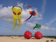 Kitty Hawk Kites, 38th Annual Rogallo Kite Festival