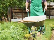 Dare County Library, Master Gardeners Library Series