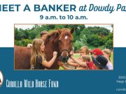 Corolla Wild Horse Fund, Meet a Banker Horse in Nags Head