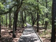 Corolla Wild Horse Fund, Nature Walk