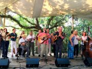 Ocracoke Alive, Annual Ocrafolk Festival