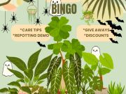 Bough & Vine, Plant Bingo